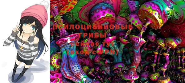 шишки Армянск