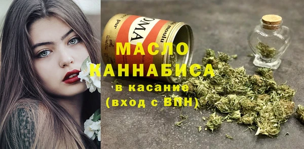 хмурый Арсеньев