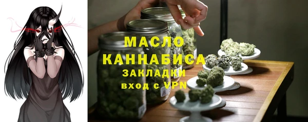 хмурый Арсеньев