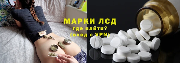 хмурый Арсеньев