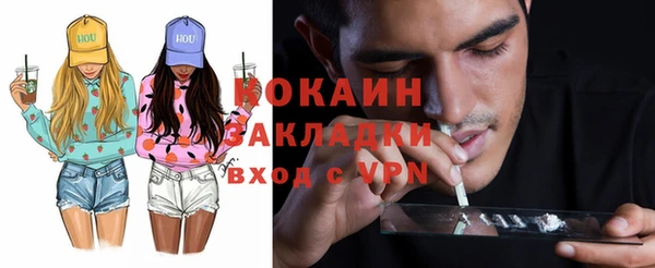 шишки Армянск