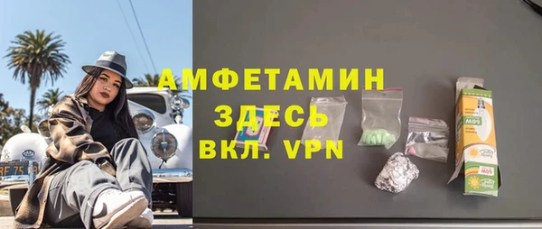 хмурый Арсеньев