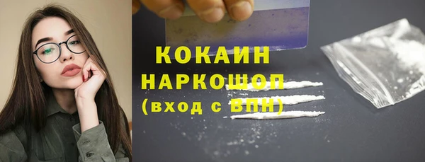 хмурый Арсеньев
