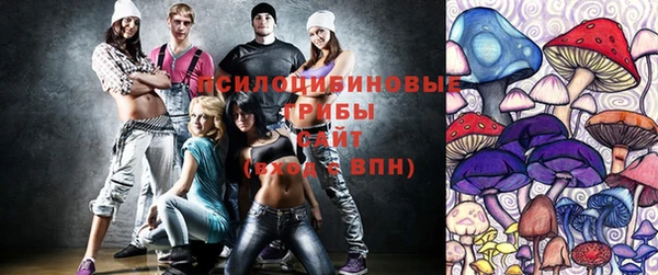 шишки Армянск