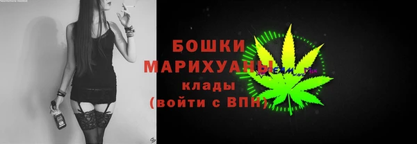 хмурый Арсеньев