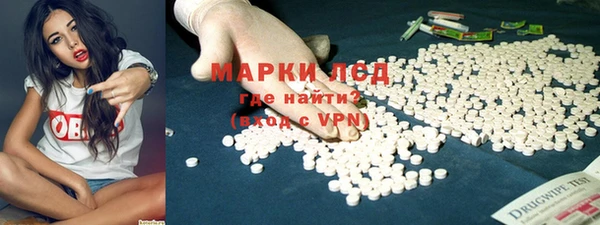 хмурый Арсеньев