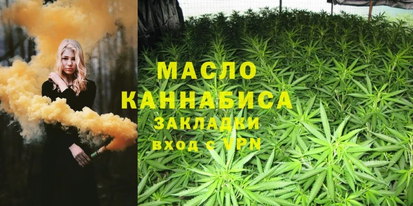 хмурый Арсеньев