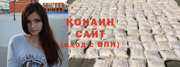шишки Армянск