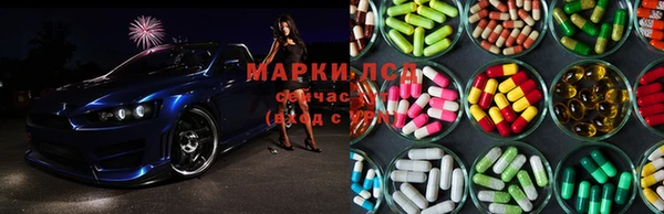 шишки Армянск